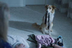 A Dog's Love is Like No Other